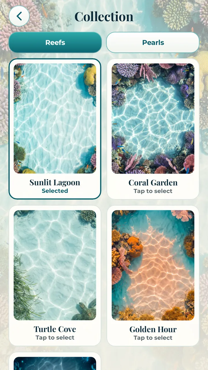 The reef collection: Sunlit Lagoon, Coral Garden, Turtle Cove and Golden Hour, with a 24-hour trial for the locked ones